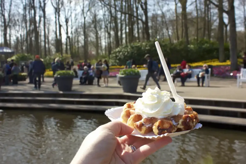 Belgian waffle on a beautiful day