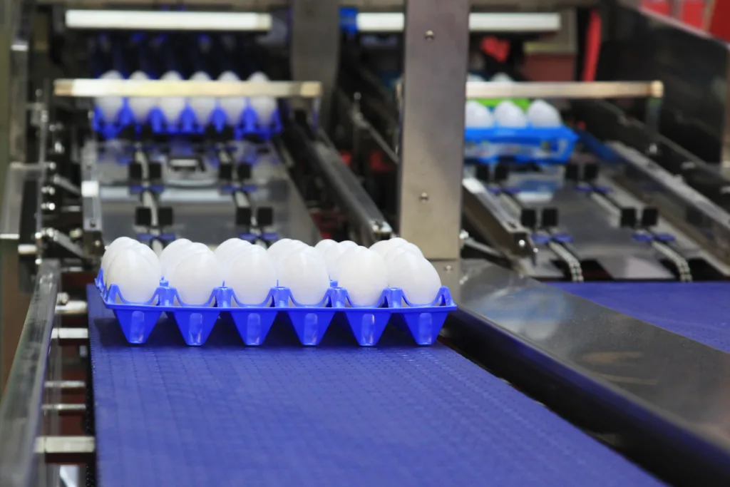 Automated Food Packaging System For Eggs - Chef's Deal