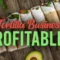 Is A Tortilla Business Profitable?