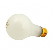 FMP Light Bulbs