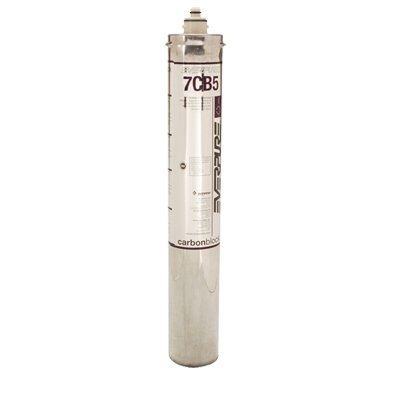FMP 117-1202 Water Filter Cartridge, Kleensteam®