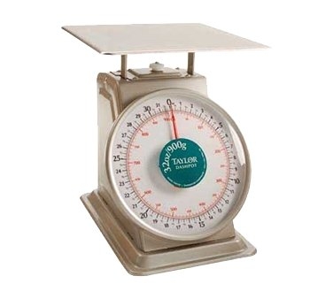 Heavy Duty Mechanical Scale with Dashpot