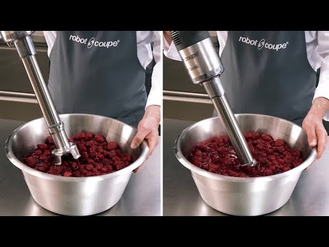 Robot Coupe MP450 Turbo FW Power Mixer with 10 Whisk - 120V