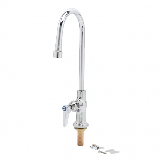 T&S Brass B-0305-VR Pantry Faucet