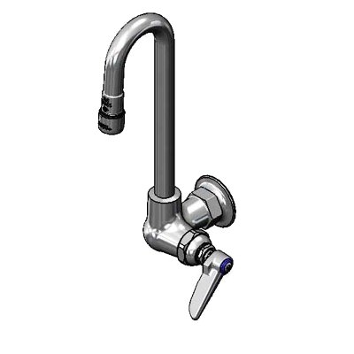 T&S Brass B-0310-119X-WS Pantry Faucet
