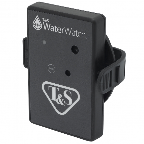 T&S Brass TSB-2020-1YR Water Meter